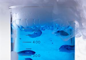 安心の診療と丁寧なケアを提供：石神井エリアで評判の消化器内科【完全ガイド】